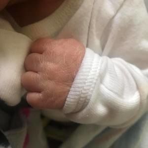 Meet your Posher, Morales